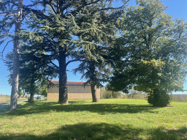 Offres de vente Ferme Montgaillard-Lauragais 31290