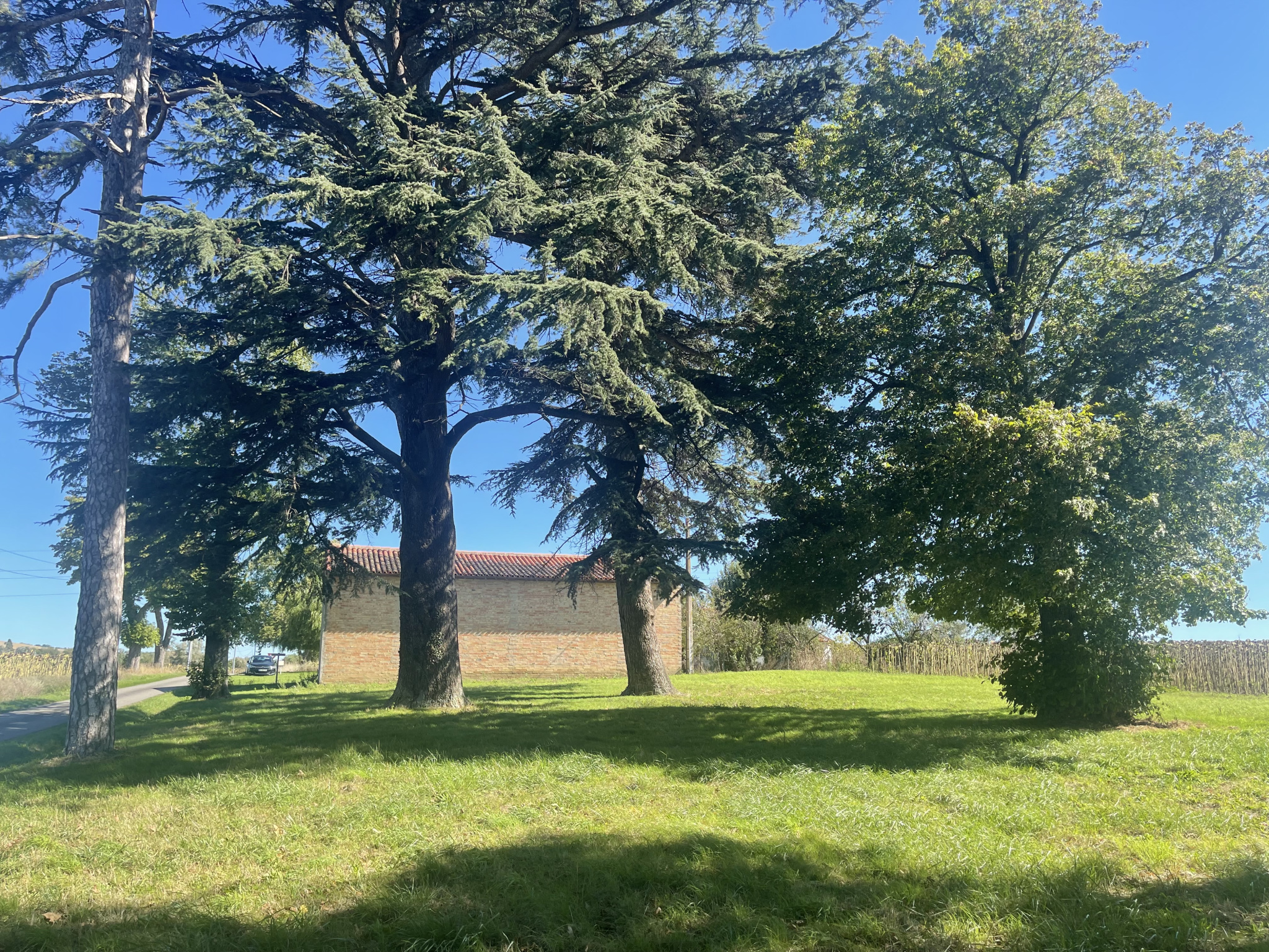 Agence immobilière de TOURNIER IMMOBILIER